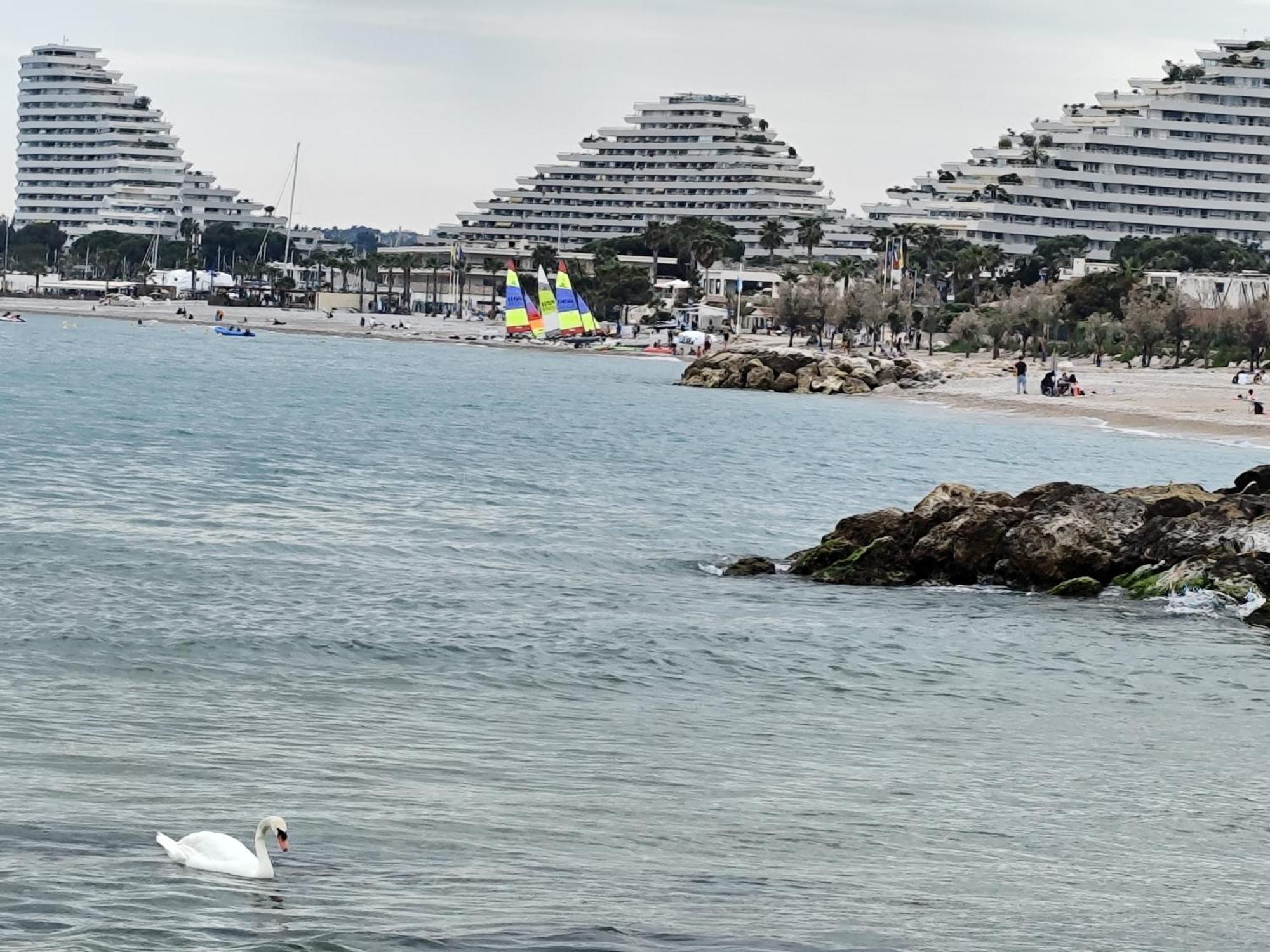 La Marina - T2 Apartment ヴィルヌーヴ・ルベ エクステリア 写真